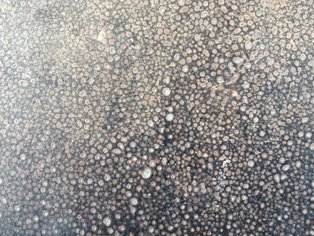 close-up photo of speckly burnt and blistered paint texture in grays, blacks and whites. A sharkskin or ray-skin like texture reminiscent of japanese sword handles