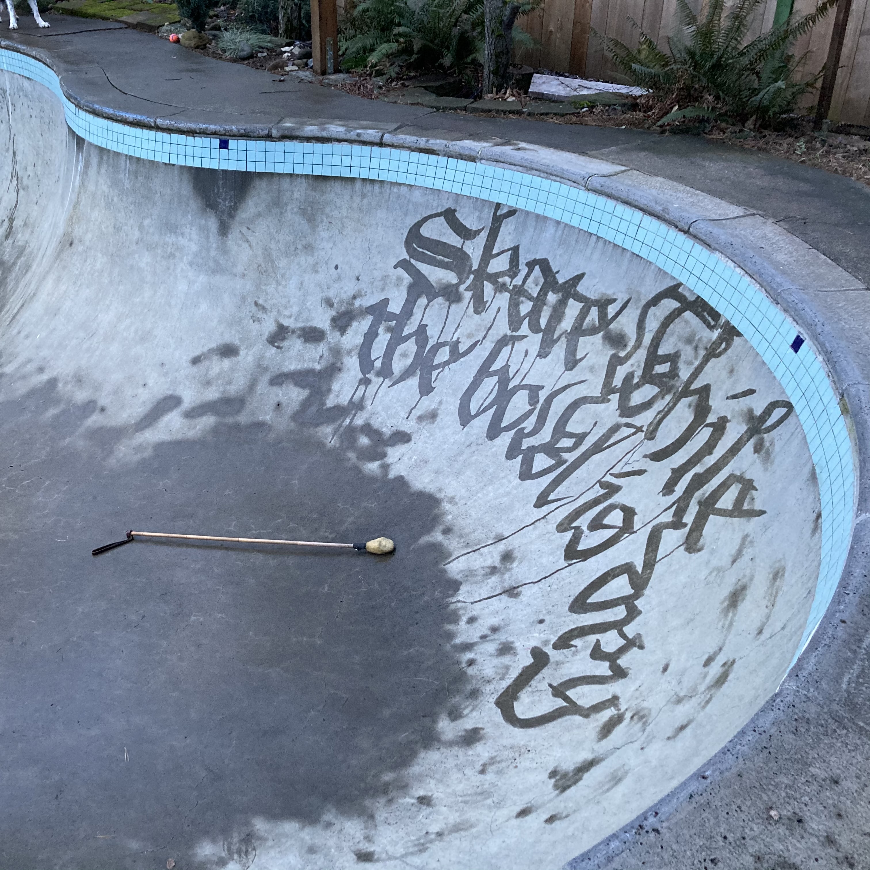 blackletter dishu - skate while the bowl is dry.