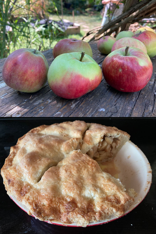 apple pie